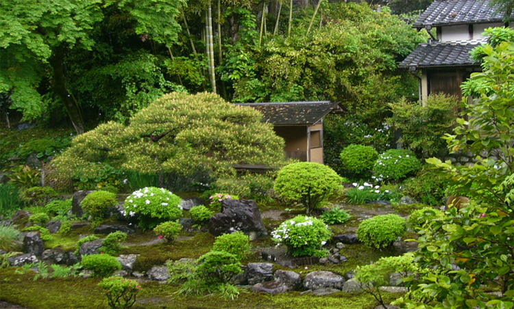 大仙寺の中庭