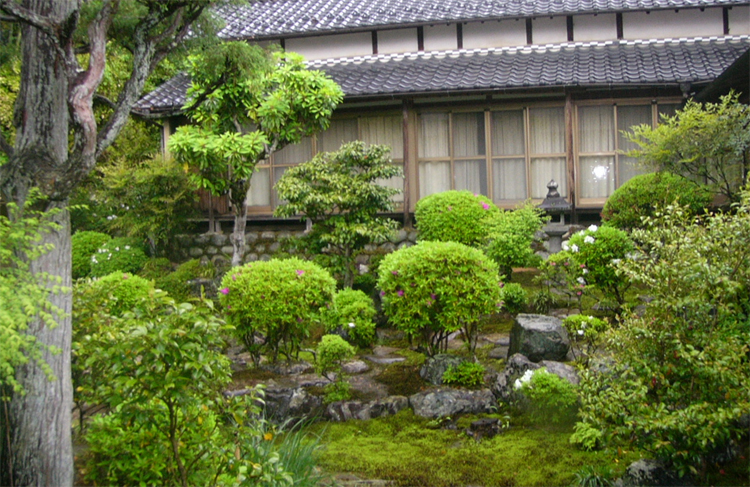 大仙寺の中庭　